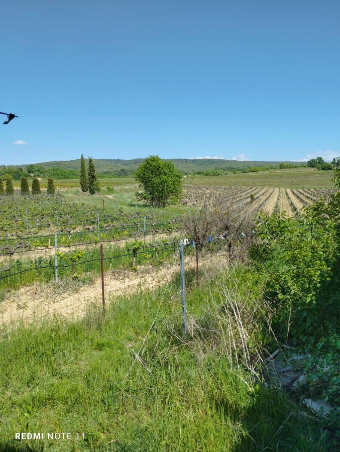 Chambre D Hotes En Provence, Au Pied Du Luberon, Les Coquelicots La Tour-d'Aigues Экстерьер фото